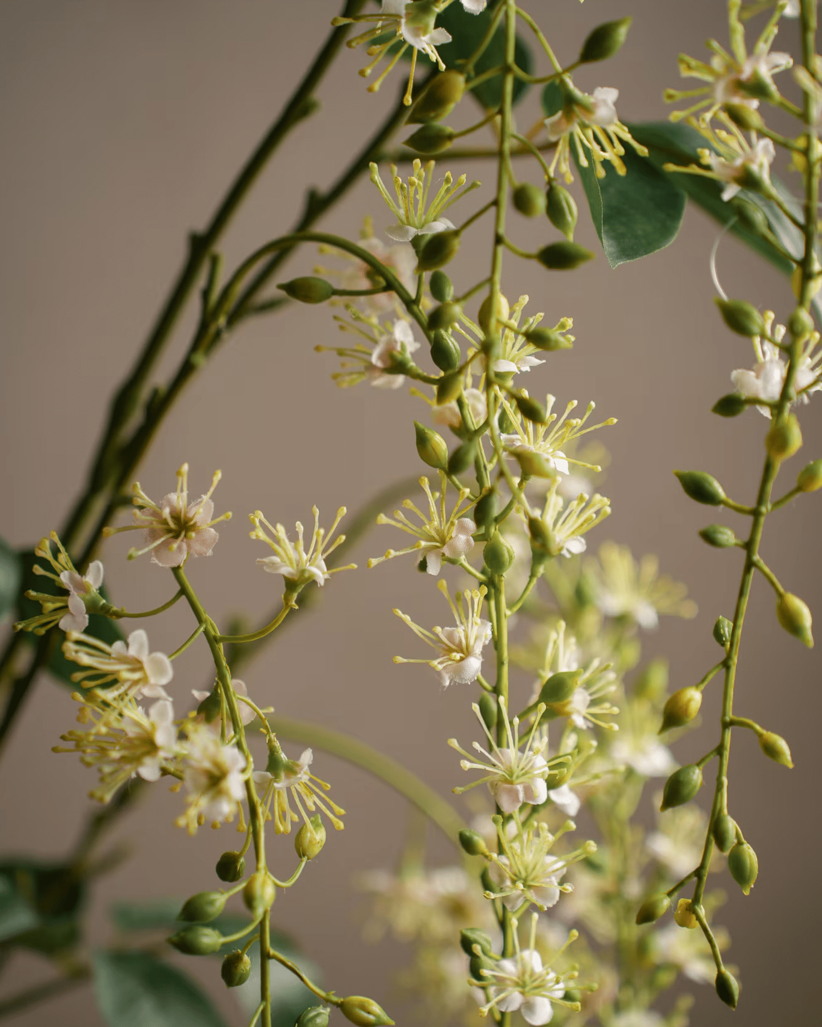 Blomkvist 130cm - Bild 2