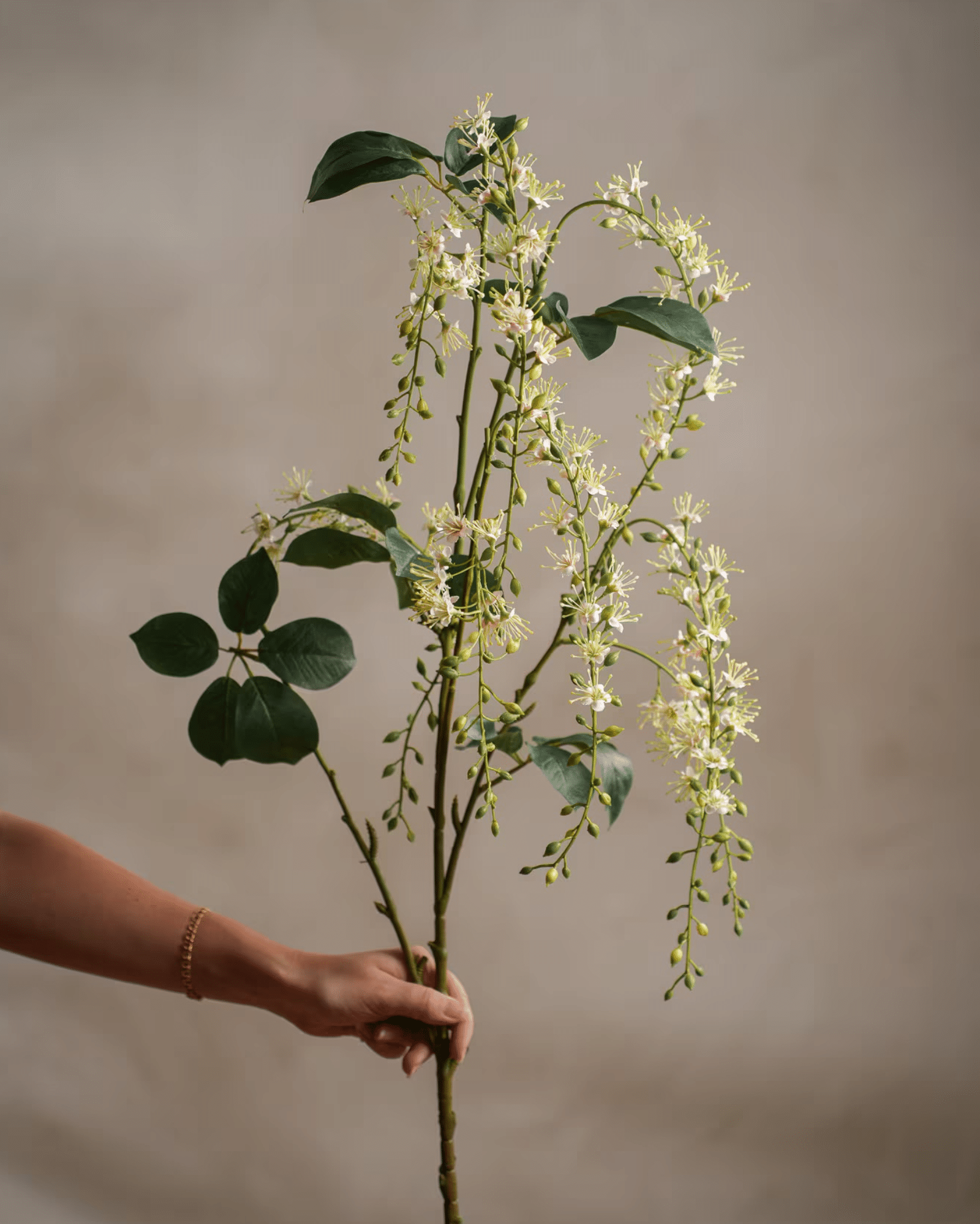 Blomkvist 130cm - Bild 3