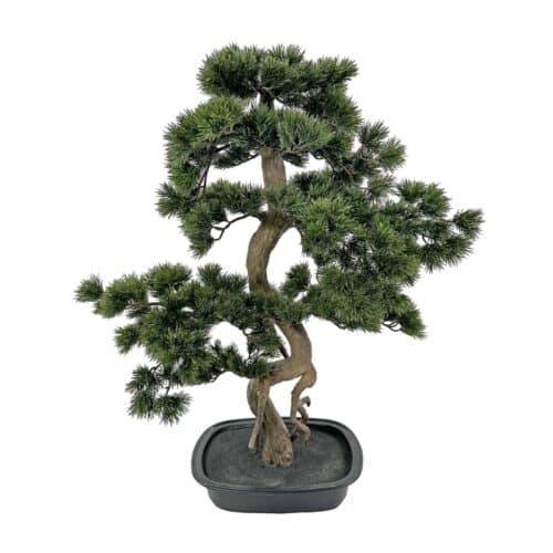 Bonsai grön i svart kruka 89 cm