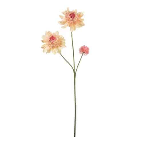 Dahlia Persika 95 cm