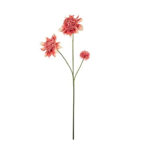 Dahlia Persika 95cm