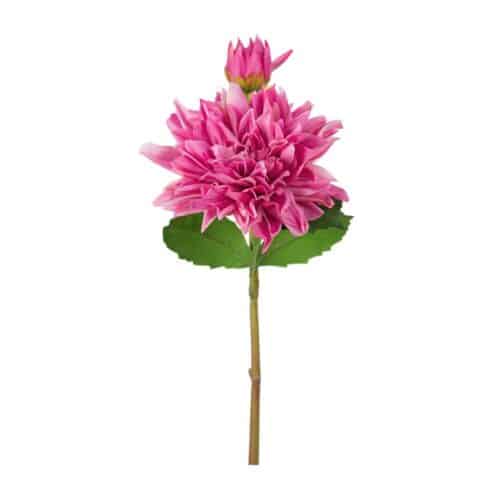 Dahlia lila 70 cm