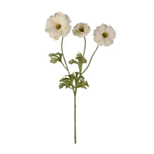 Fjärilsranuncel Grön 54 cm