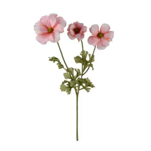 Fjärilsranuncel Rosa 54 cm