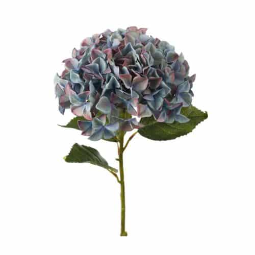 Hortensia Blå 110 cm