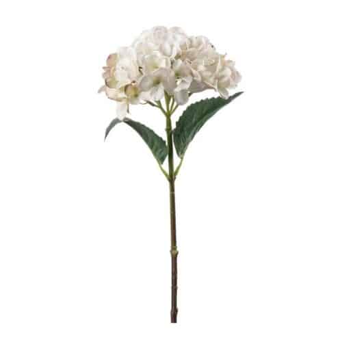 Hortensia Cream 48 cm