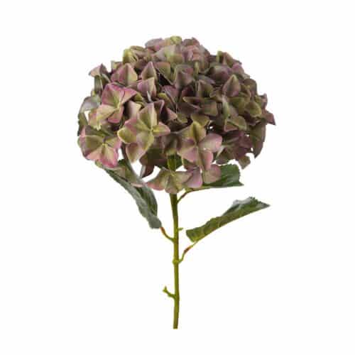 Hortensia Lila 110 cm