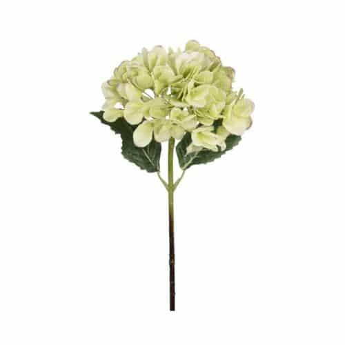 Hortensia grön 48cm