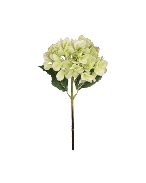 Hortensia grön 48cm