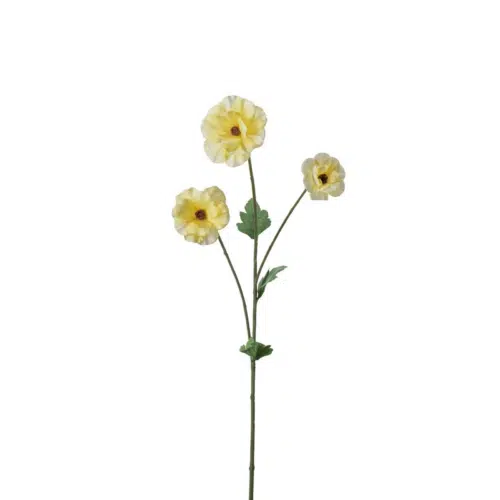 Japansk Ranuncel Gul 62 cm – Konstväxt med färgstarka blommor