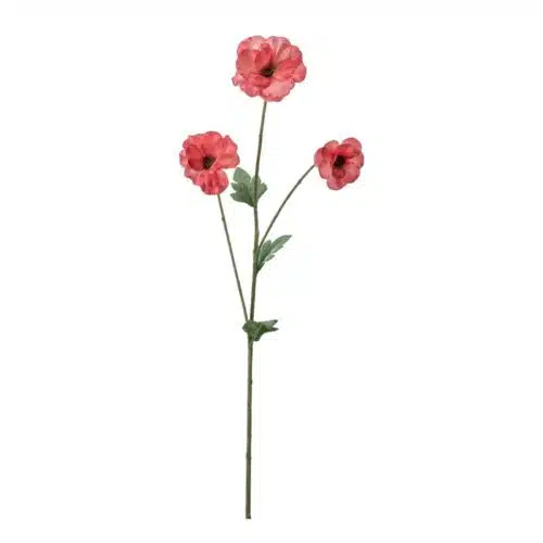 Japansk Ranuncel Rosa 62 cm