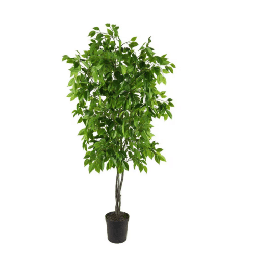 Fikus Benjamin 165 cm – Naturtrogen konstväxt med grönska