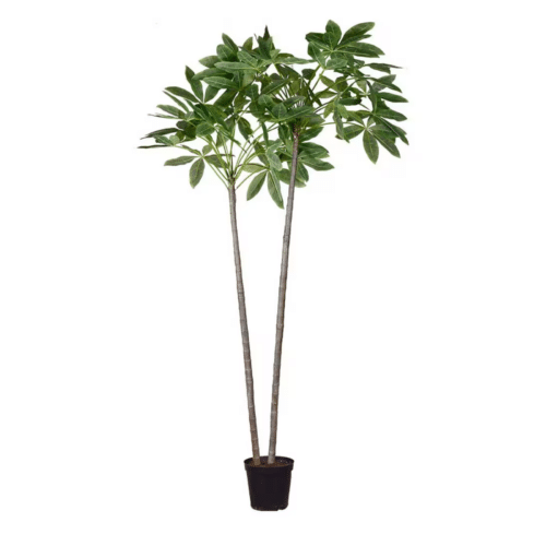 Pachiraträd i kruka 270 cm – Naturtrogen och underhållsfri konstväxt