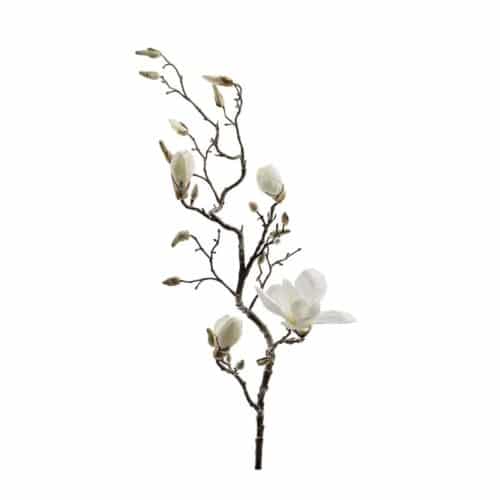 Magnolia Vit 135 cm