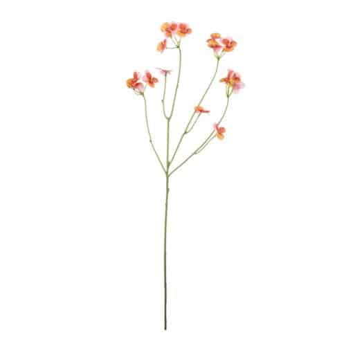 Pensé Flerfärgad 63 cm