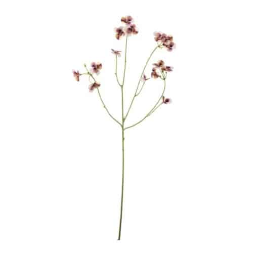 Pensé flerfärgad Lila 63 cm