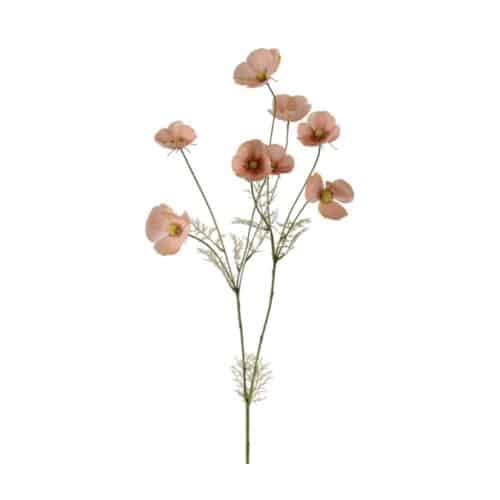 Rosenskära Aprikos 100 cm