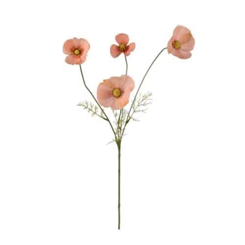 Rosenskära Aprikos 60 cm