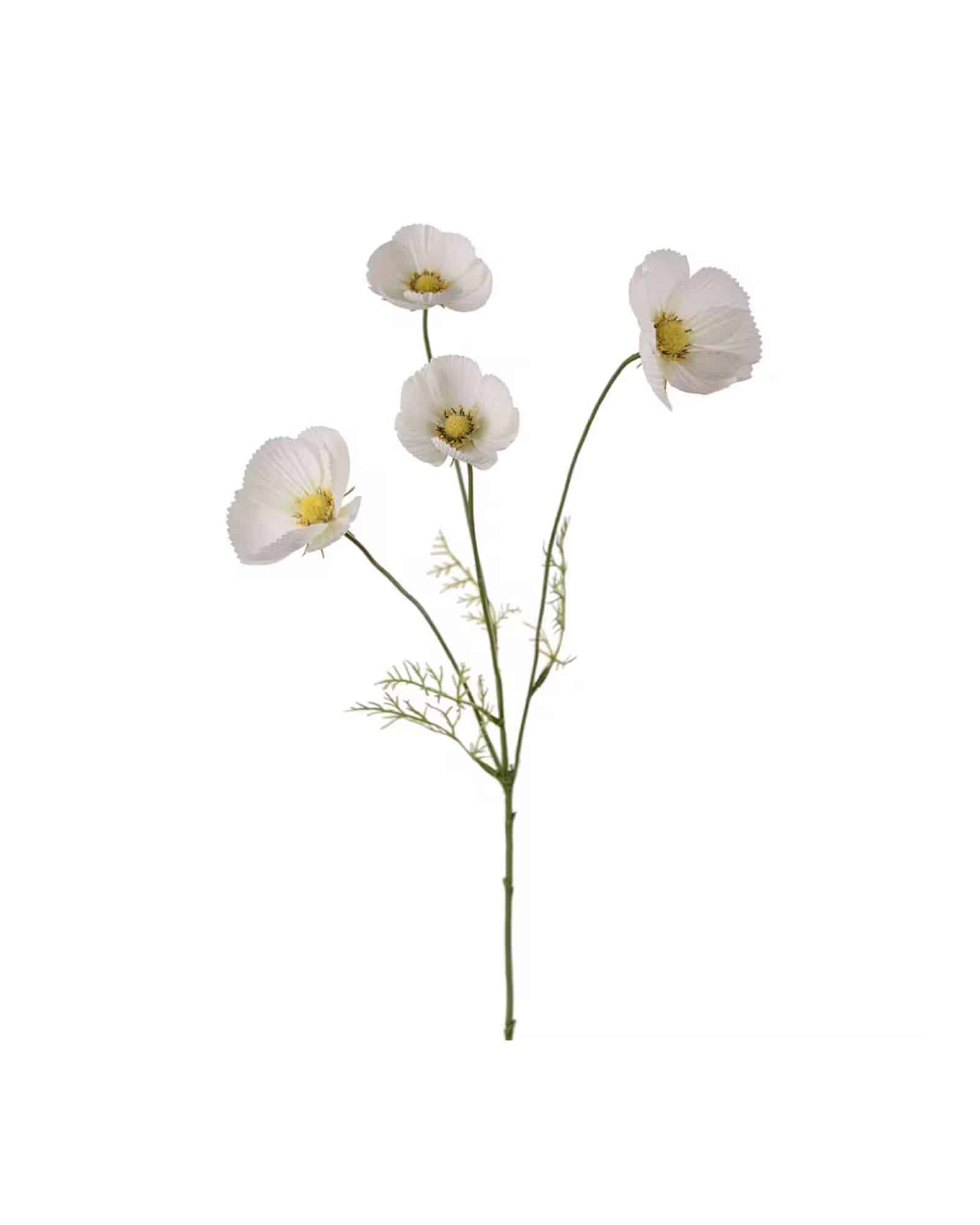 Rosenskära Vit 60 cm