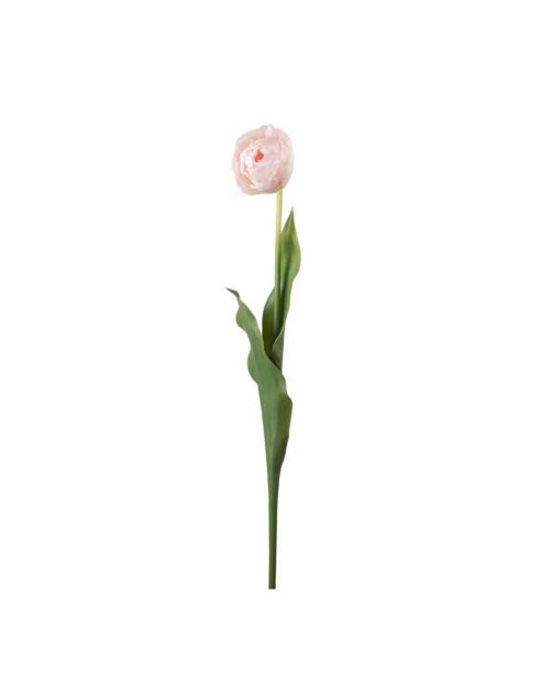 Tulpan Rosa 67cm
