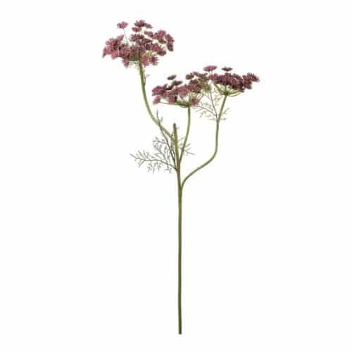 Vildmorot Lila 80 cm