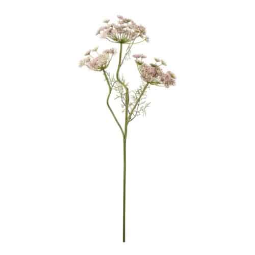 Vildmorot Rosa 80 cm