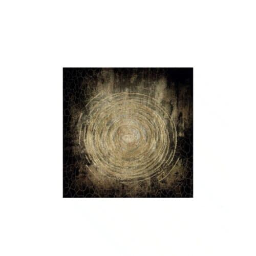 circle of life fototavla 100x100