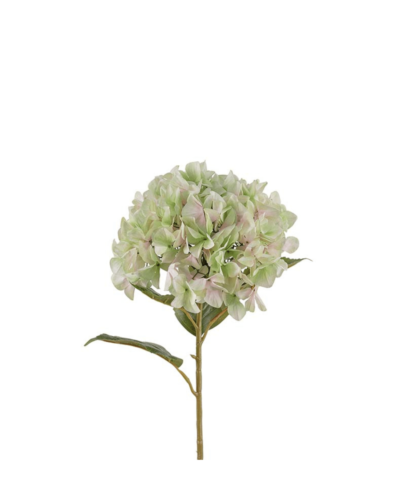 Hortensia Lime 110 cm – Naturtrogen konstväxt