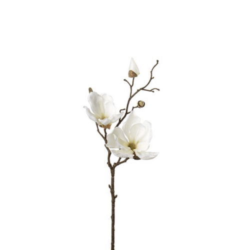 Magnolia Cream 45 cm – Naturtrogen konstväxt