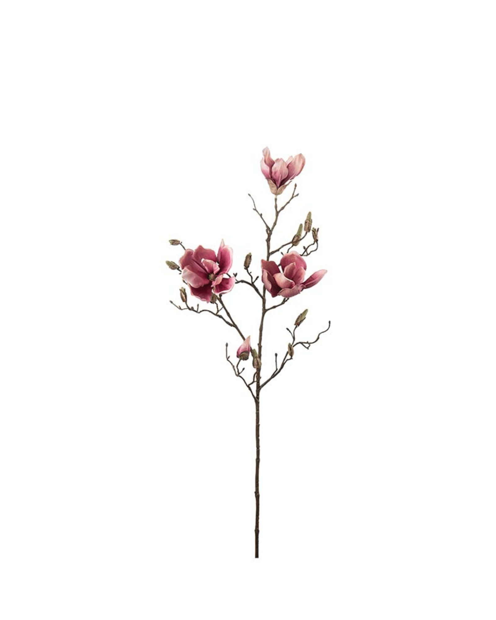 Magnolia Lila 88 cm – Naturtrogen konstväxt
