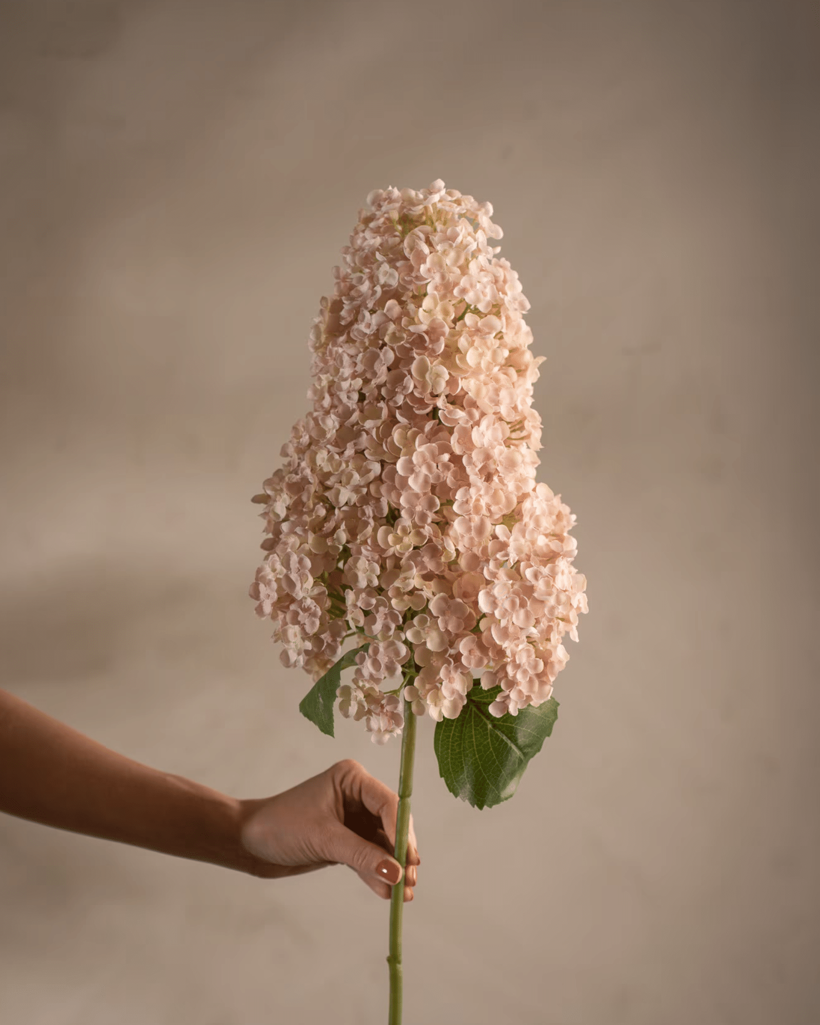 Syrénhortensia Rosa 128 cm – Stilren konstväxt med stora blommor - Bild 2