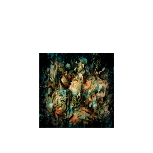 BOTANICAL ABSTRACT Tavla Plexiglas / Aluminium