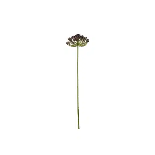 Bärkvist Lila 63cm