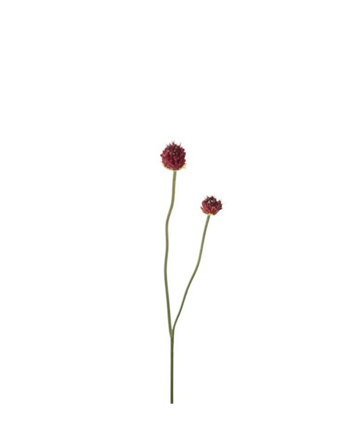 Konstgjord Burgundy Allium 65 cm