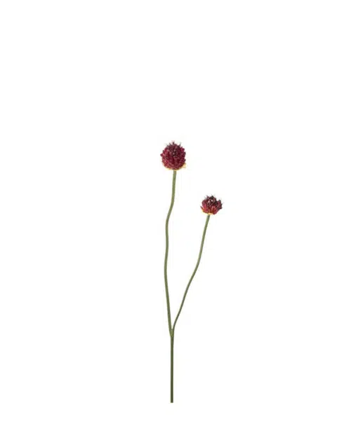 Konstgjord Burgundy Allium 65 cm