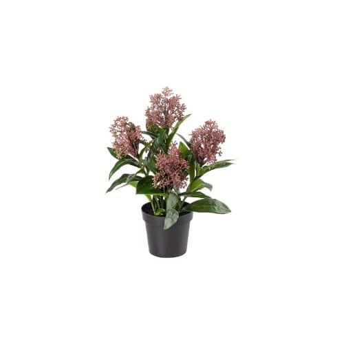 Konstgjord burgundy Skimmia 55cm